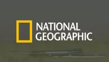 ational Geographic Baby Animals